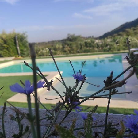 B&B Badde Tale Ossi Zewnętrze zdjęcie